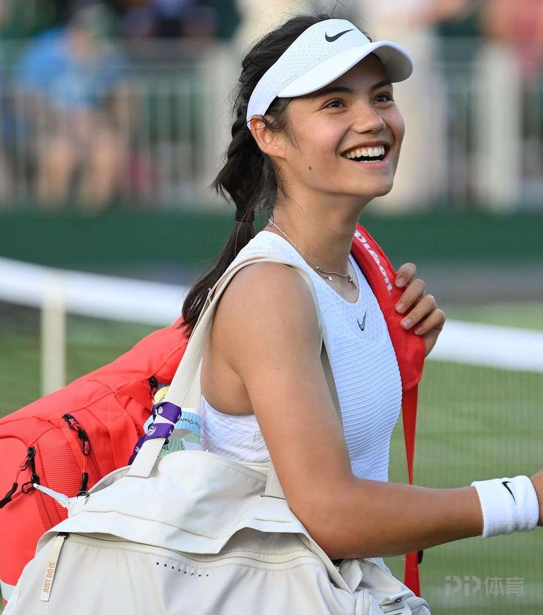 种奇妙的隐 种奇妙的隐